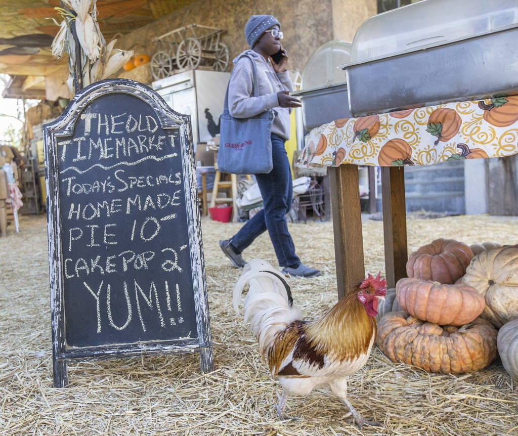 Las Vegas Farm is a familyfriendly sanctuary for animals Las Vegas