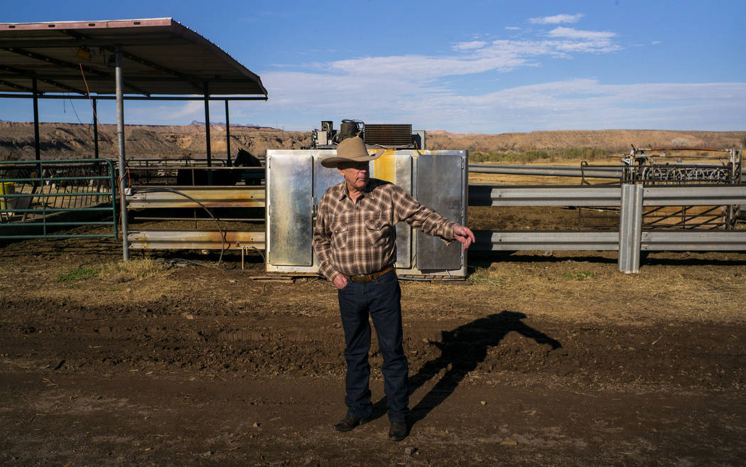 Cliven Bundy at Bundy Ranch in Bunkerville on Thursday, Jan. 11, 2018. Bundy was released from federal custody after charges against him were dismissed in his trial. Chase Stevens Las Vegas Review ...