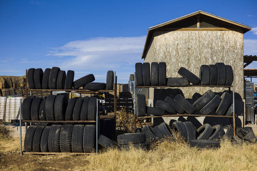 Tires stored at Bundy Ranch in Bunkerville on Thursday, Jan. 11, 2018. Bundy was released from federal custody after charges against him were dismissed in his trial. Chase Stevens Las Vegas Review ...