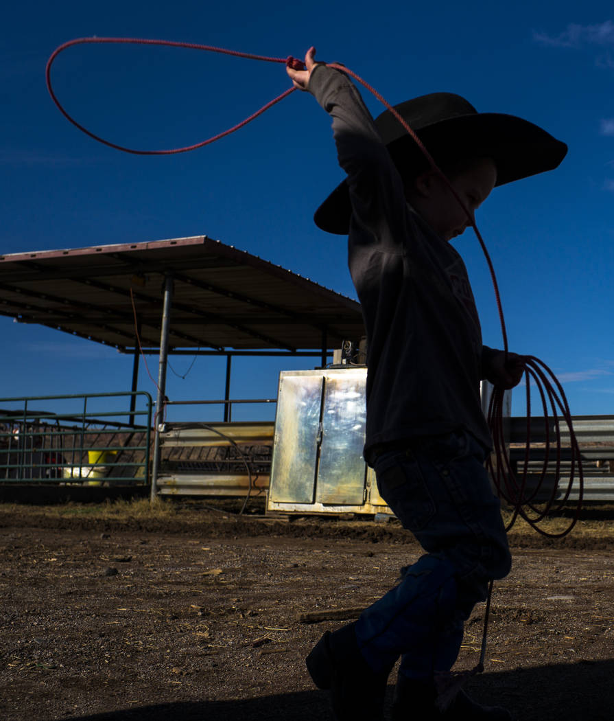 Roper, grandson of Cliven Bundy, shows off his roping skills to his grandfather at Bundy Ranch in Bunkerville on Thursday, Jan. 11, 2018. Bundy was released from federal custody after charges agai ...