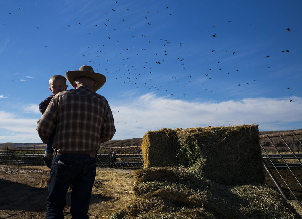 Cliven Bundy with his grandson LaVoy at Bundy Ranch in Bunkerville on Thursday, Jan. 11, 2018. Bundy was released from federal custody after charges against him were dismissed in his trial. Chase  ...