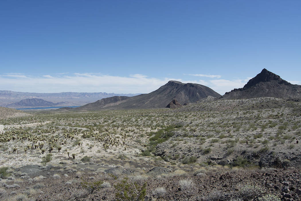 Las Vegas gold mine listed for $5M, plus royalty — PHOTOS | Las Vegas Review-Journal