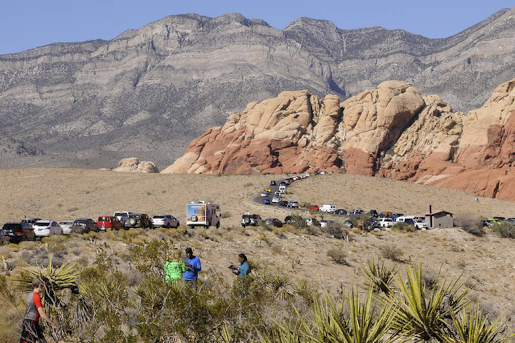 Parked vehicles stretch along the Red Rock Loop Road on a busy day at the Red Rock National Conservation Area. (Las Vegas Review-Journal)