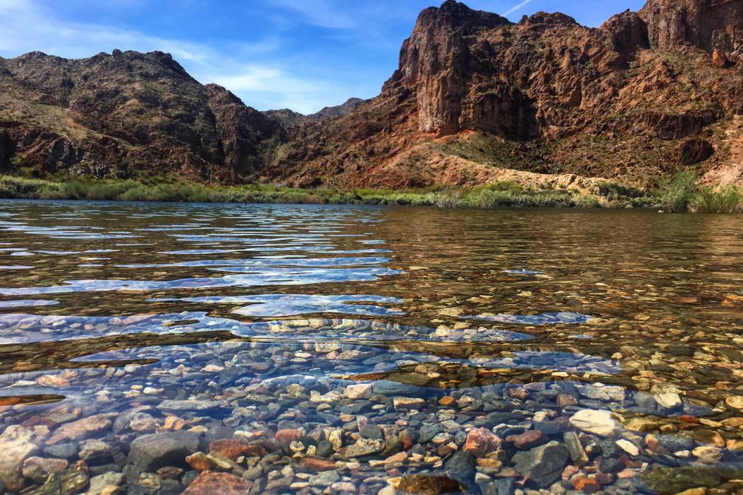 The Colorado River near Willow Beach, Arizona. (Janna Karel/Las Vegas Review-Journal)