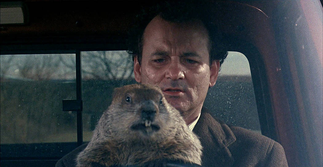 Bill Murray in &quot;Groundhog Day&quot; (Sony Pictures)