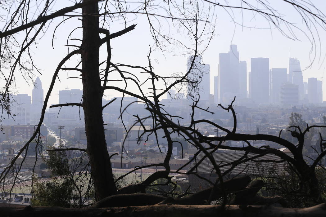 Los Angeles skyline is seen through burned trees after a brush fire erupted in the hills in Elysian Park in Los Angeles. (AP Photo/Damian Dovarganes, File)