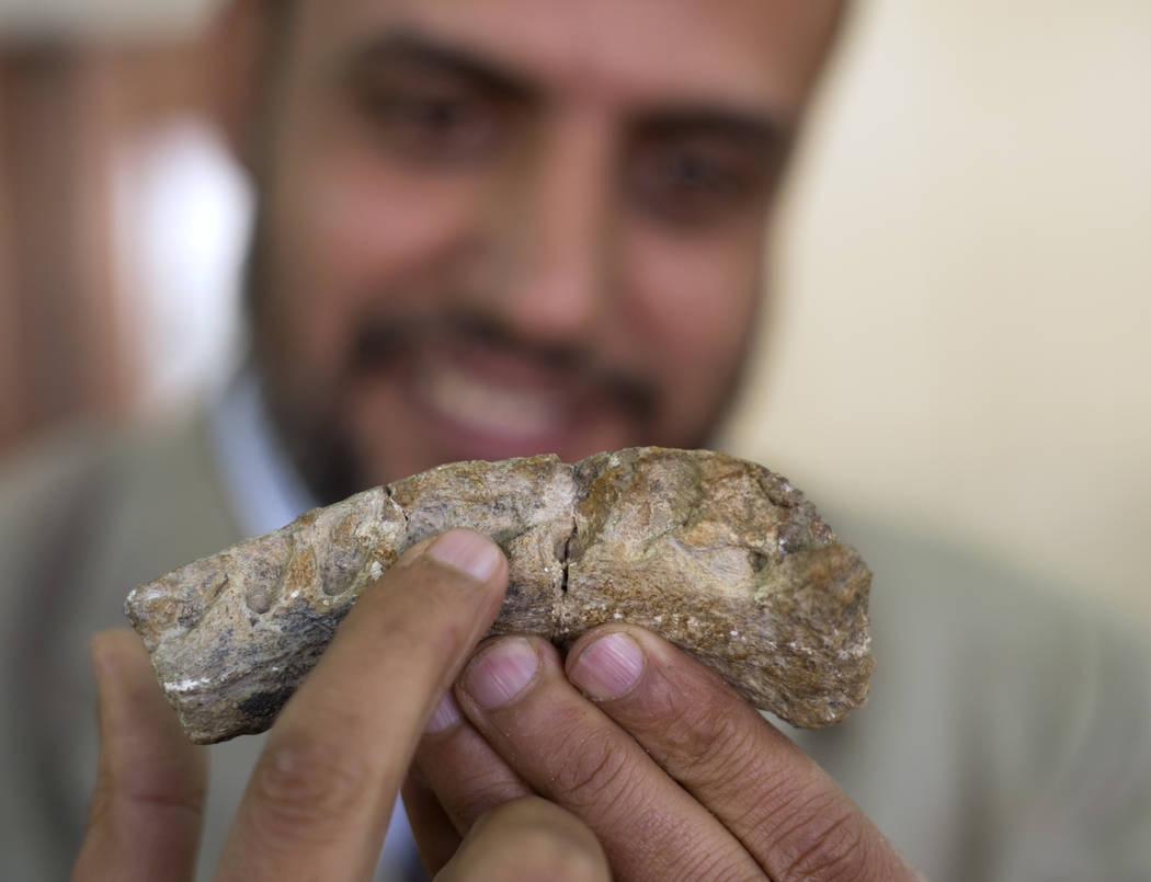 latest paleontology discoveries