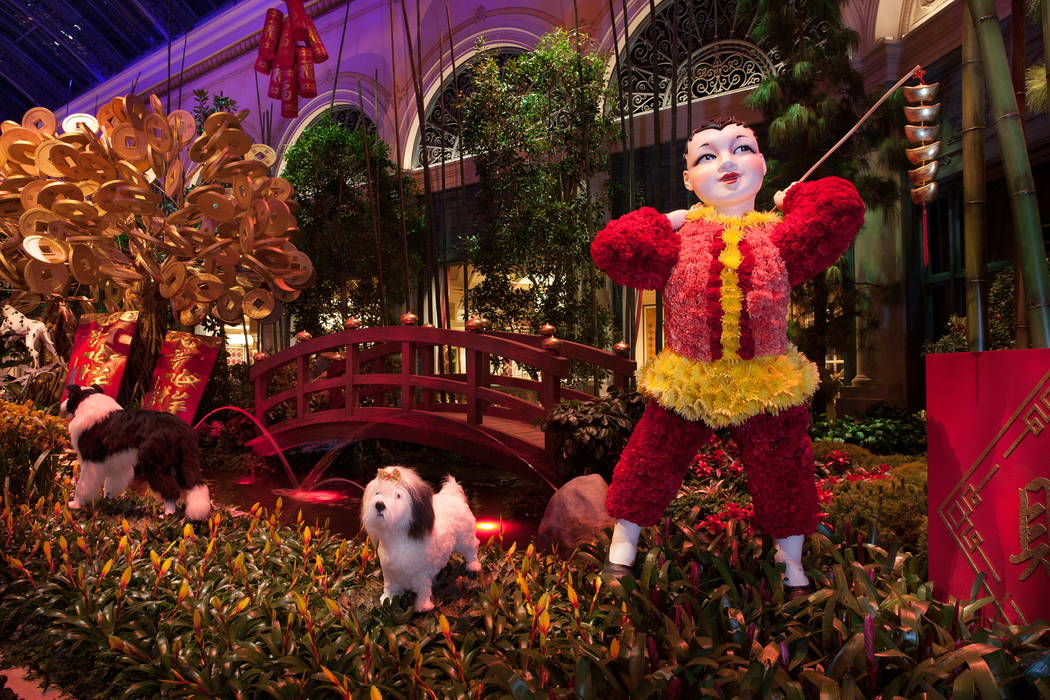 Happy Chinese New Year! Celebrating Vegas Style » Exhibit City News