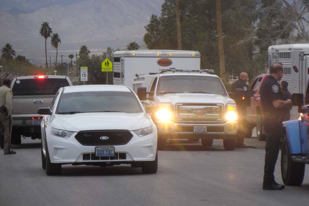 Las Vegas police teamed up with Las Vegas Animal Control to capture a runaway bull in the 1900 block of Ophir Street, near Martin Luther King Boulevard and Washington Avenue, early Friday morning, ...