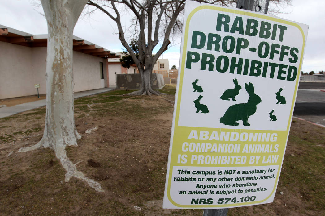 A sign prohibiting rabbit drop-offs at the State of Nevada West Charleston Campus Monday, Feb. 19, 2018. Rabbit rescue groups say they found many of the hundreds of domestic rabbits who live at th ...