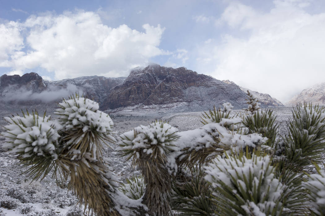 Snowfall at Red Rock Canyon Overlook on Friday, Feb. 23, 2018. Richard Brian Las Vegas Review-Journal @vegasphotograph