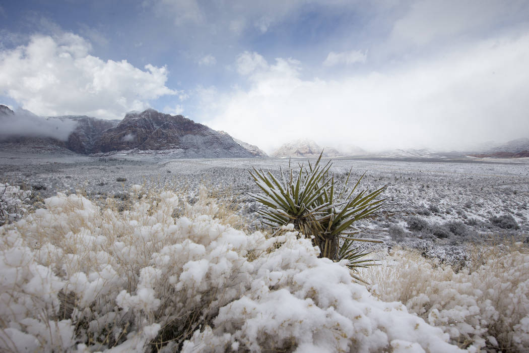 Snowfall at Red Rock Canyon Overlook on Friday, Feb. 23, 2018. Richard Brian Las Vegas Review-Journal @vegasphotograph