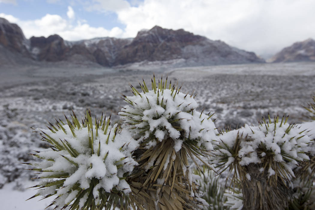 Snowfall at Red Rock Canyon Overlook on Friday, Feb. 23, 2018. Richard Brian Las Vegas Review-Journal @vegasphotograph