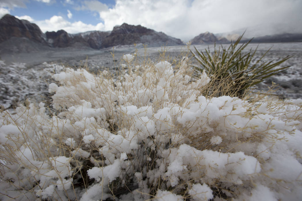 Snowfall at Red Rock Canyon Overlook on Friday, Feb. 23, 2018. Richard Brian Las Vegas Review-Journal @vegasphotograph