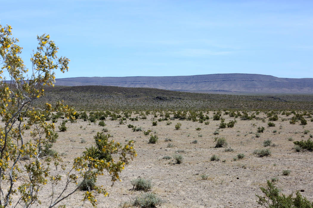 The west rim of Yucca Mountain as seen from Crater Flat on May 3, 2017. (Michael Quine/Las Vegas Review-Journal) @Vegas88s