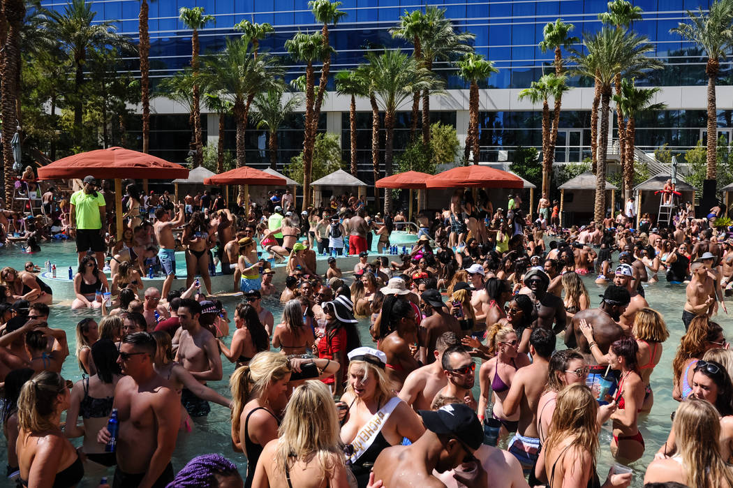 Daylight Beach Club at Mandalay Bay (Oh Dag Yo Photography)