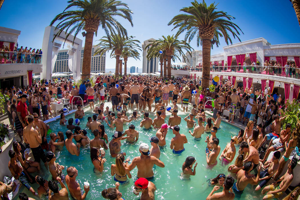 Why Vegas Pool Parties Are The Best Parties I've Ever Been To – Travel à la  Tendelle