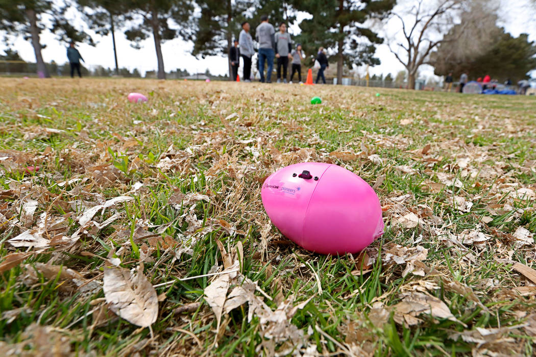 Beeping eggs are placed before the Beepin' Egg Hunt at Sunset Park in Las Vegas, Saturday, March 24, 2018. Nevada Blind Children's Foundation hosted the egg hunt for visually impaired children and ...