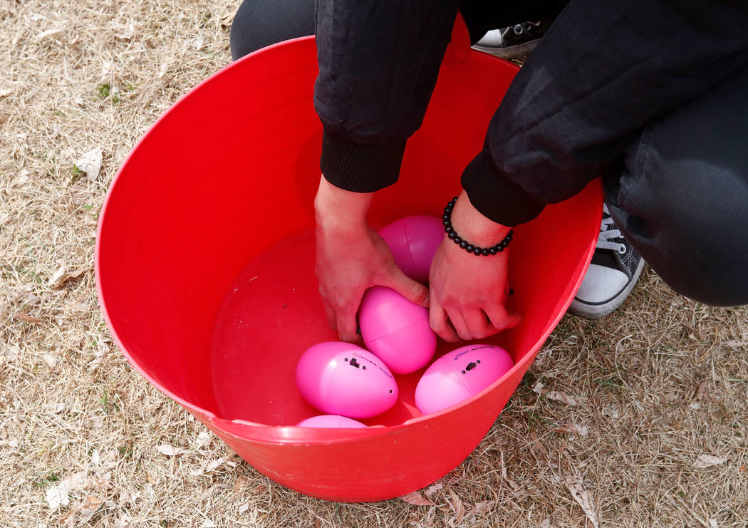 Beeping eggs are seen in preparation for the Beepin' Egg Hunt at Sunset Park in Las Vegas, Saturday, March 24, 2018. Nevada Blind Children's Foundation hosted the egg hunt for visually impaired ch ...
