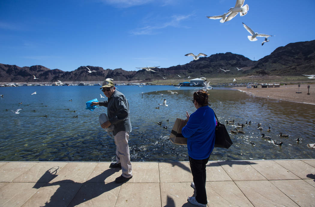 Henderson residents Byron Vasquez, left, and his wife Rosemarie feed seagulls and fish in the Hemenway Harbor area of Lake Mead National Recreation Area on Monday, March 19, 2018. The couple visit ...