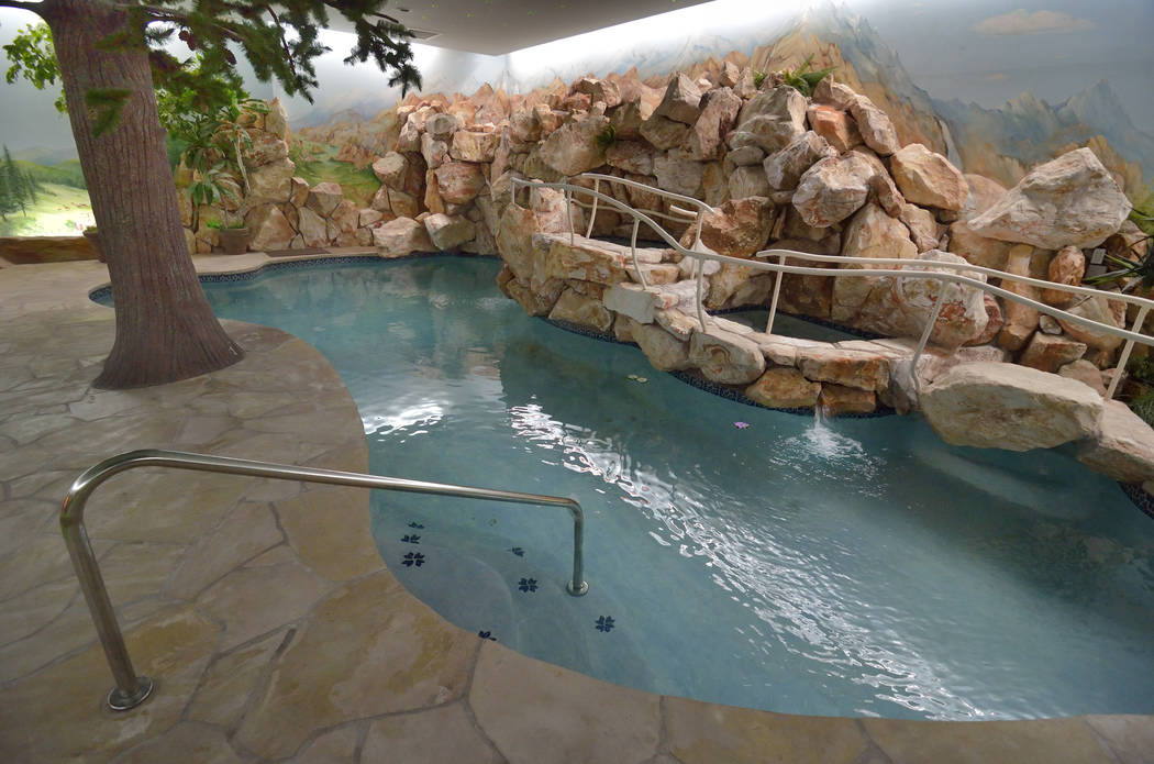 The pool. (Bill Hughes Real Estate Millions)