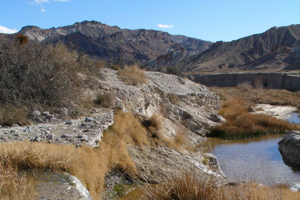 The Amargosa River winds its way through a canyon near China Ranch Date Farm on its way to Death Valley. (Henry Brean/Las Vegas Review-Journal)