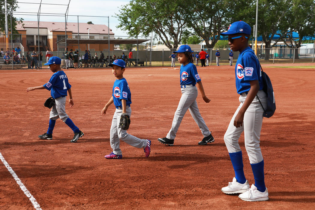 cubs little league