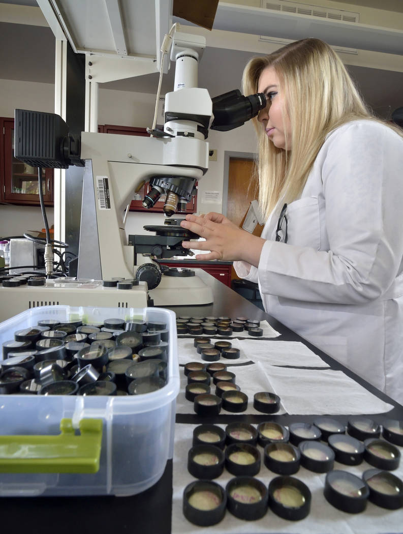 Shelby Fitch, a senior geology major, is shown at UNLV at 4505 S. Maryland Parkway in Las Vegas on Friday, April 13, 2018. She is working in the cryptotephra lab, which is dedicated to the study o ...