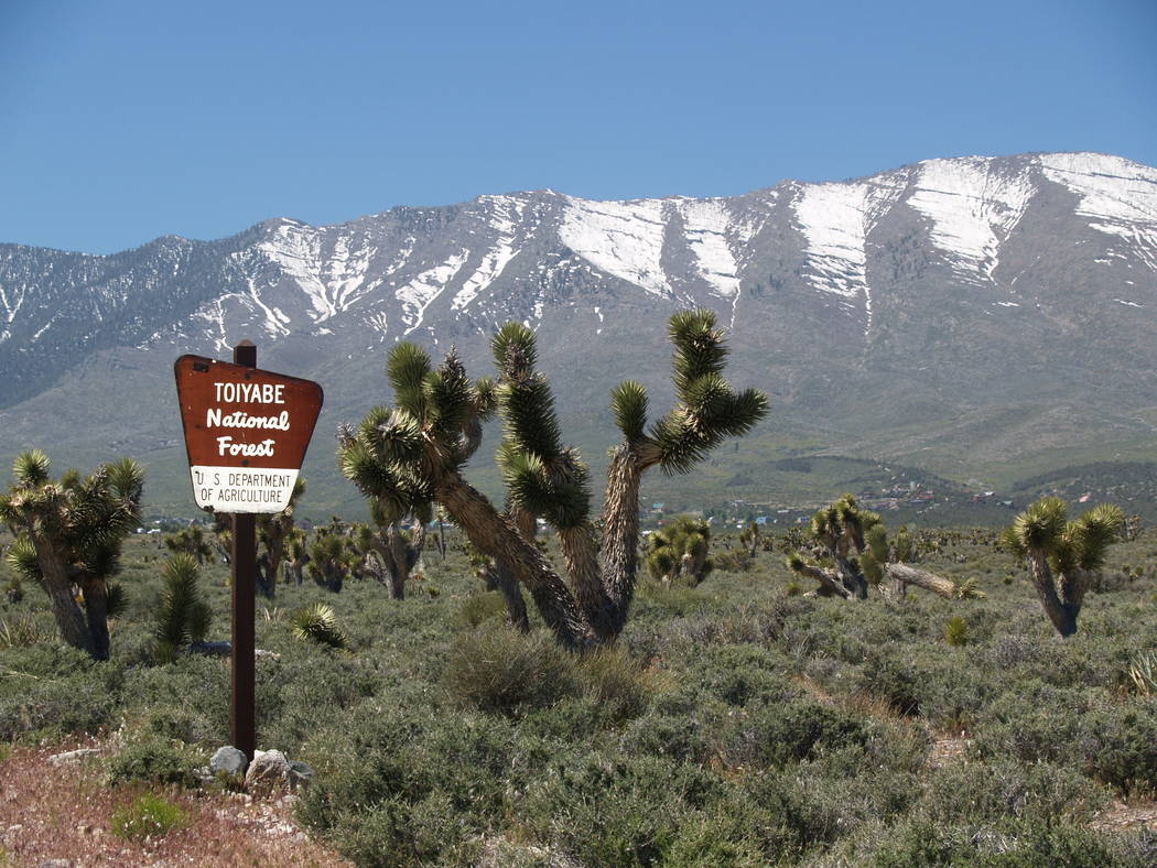 The Cold Creek subdivision has about 200 lots with 87 homes completed. There are five homes for sale, ranging from $359,000 to $650,000. (Mt. Charleston Realty Inc.)