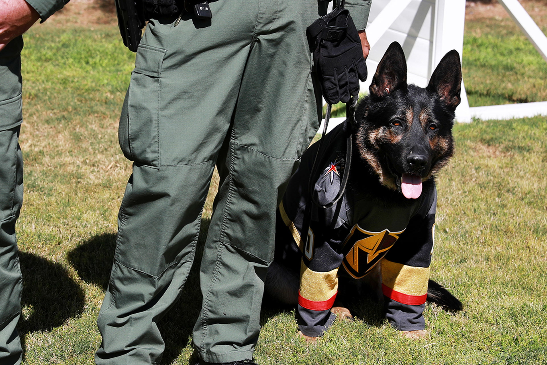 Meet ‘Knight,’ the newest member of the Las Vegas police K9 unit