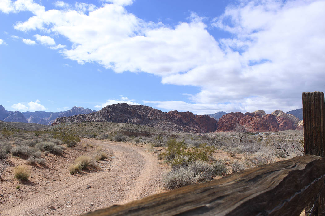 Red Rock Canyon Courtesy Preserve Nevada