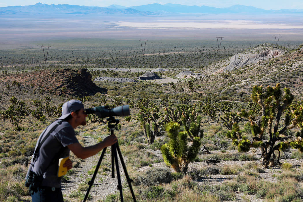 Joe Barnes, a biologist with the Nevada Department of Wildlife, looks for golden eagle nestling ...