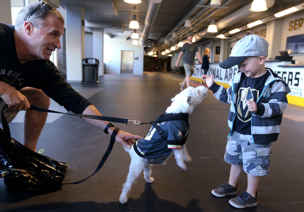 Bark-Andre Furry and his owner, Rick Williams, say hello to 3-year-old Griffin Schwarz of Las Vegas before Vegas Golden Knights practice at City National Arena in Las Vegas on Wednesday, May 9, 20 ...