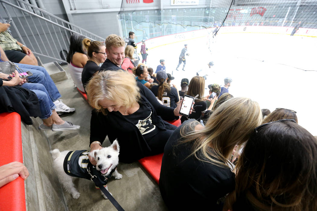Arlene O'Hara of Las Vegas pets Bark-Andre Furry during Vegas Golden Knights practice at City National Arena in Las Vegas on Wednesday, May 9, 2018. K.M. Cannon Las Vegas Review-Journal @KMCannonPhoto