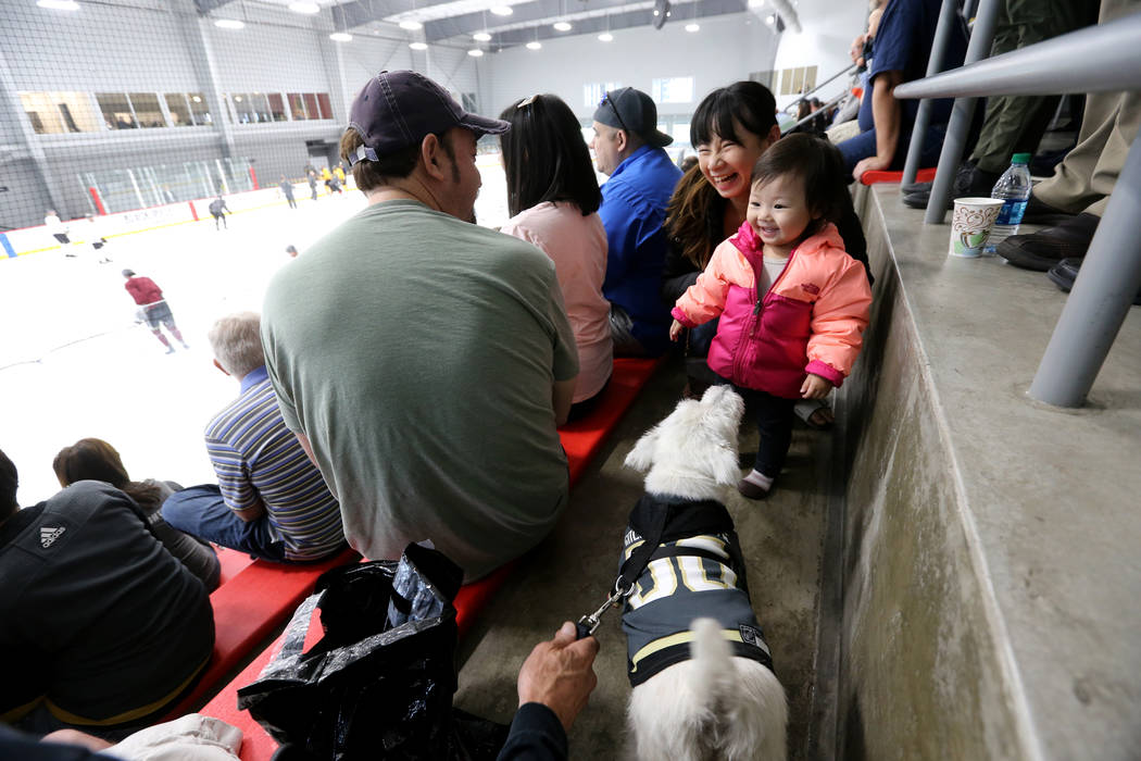 VGK fan favorite therapy dog Bark-Andre Furry dies at 14