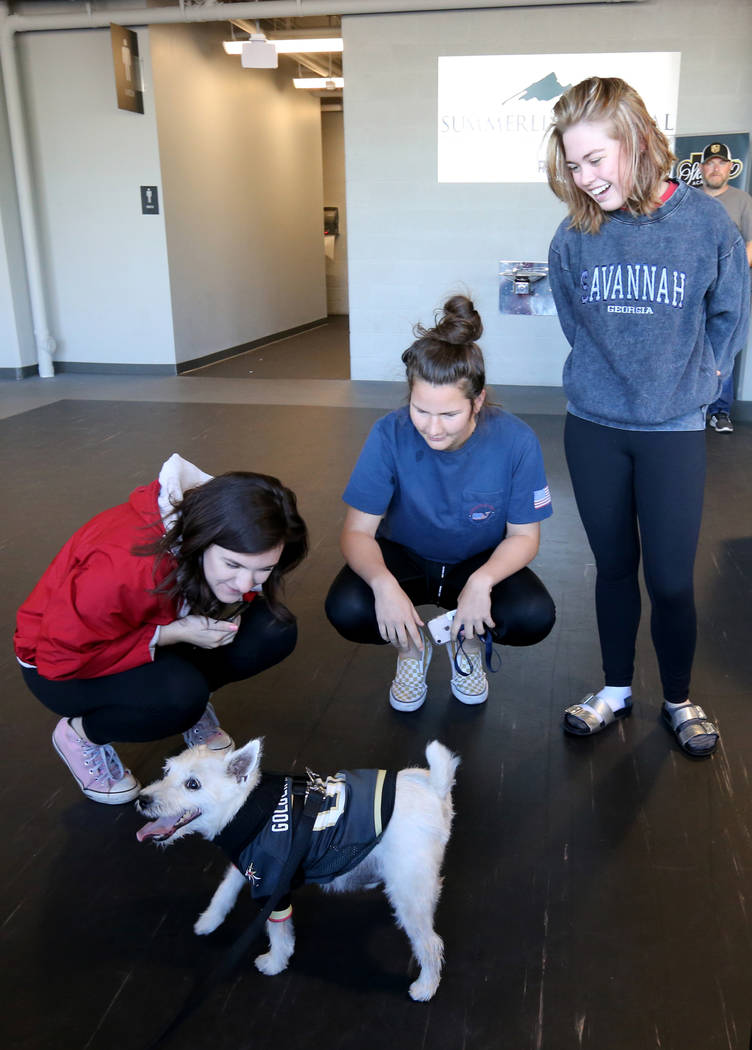 Hailey MacCachren, from left, Audrey Ulitchny and Emily Irvine, all of Las Vegas, visit with Bark-Andre Furry during Vegas Golden Knights practice at City National Arena in Las Vegas on Wednesday, ...