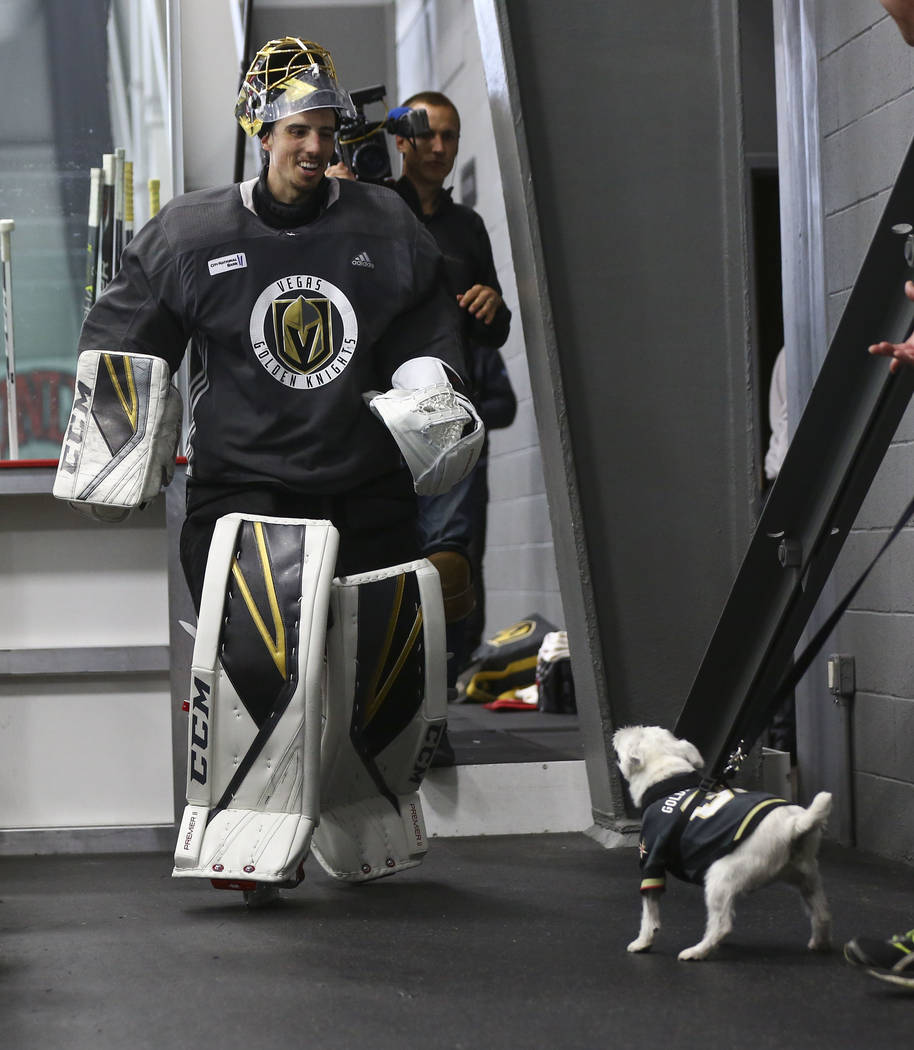Golden Knights goaltender Marc-Andre Fleury meets Bark-Andre Furry, a Jack Russell terrier, after practice at City National Arena in Las Vegas on Thursday, May 10, 2018. Chase Stevens Las Vegas Re ...