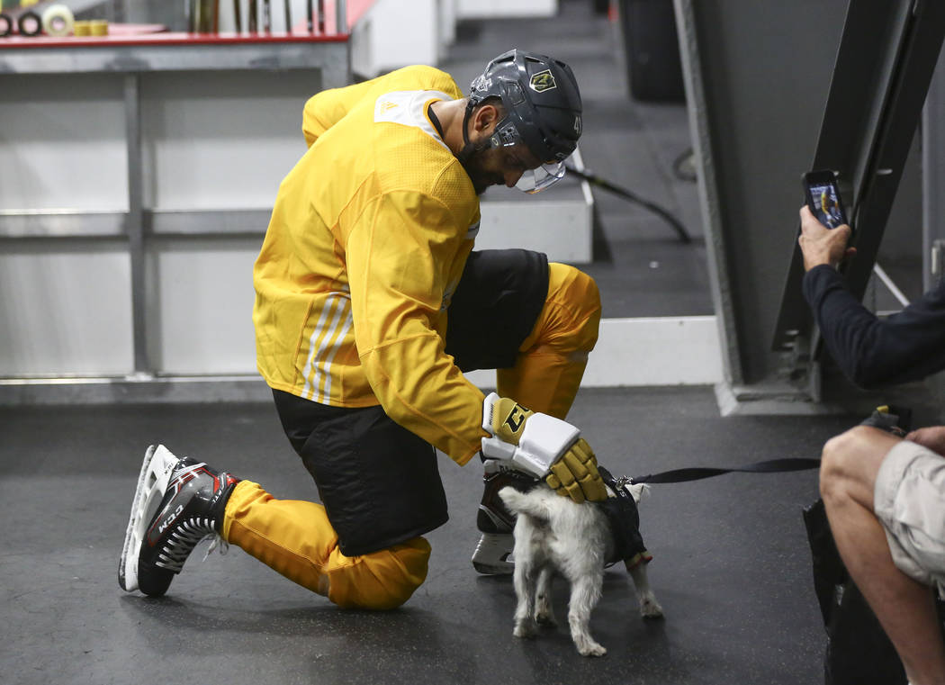 Golden Knights left wing Pierre-Edouard Bellemare greets Bark-Andre Furry during practice at City National Arena in Las Vegas on Thursday, May 10, 2018. Chase Stevens Las Vegas Review-Journal @css ...