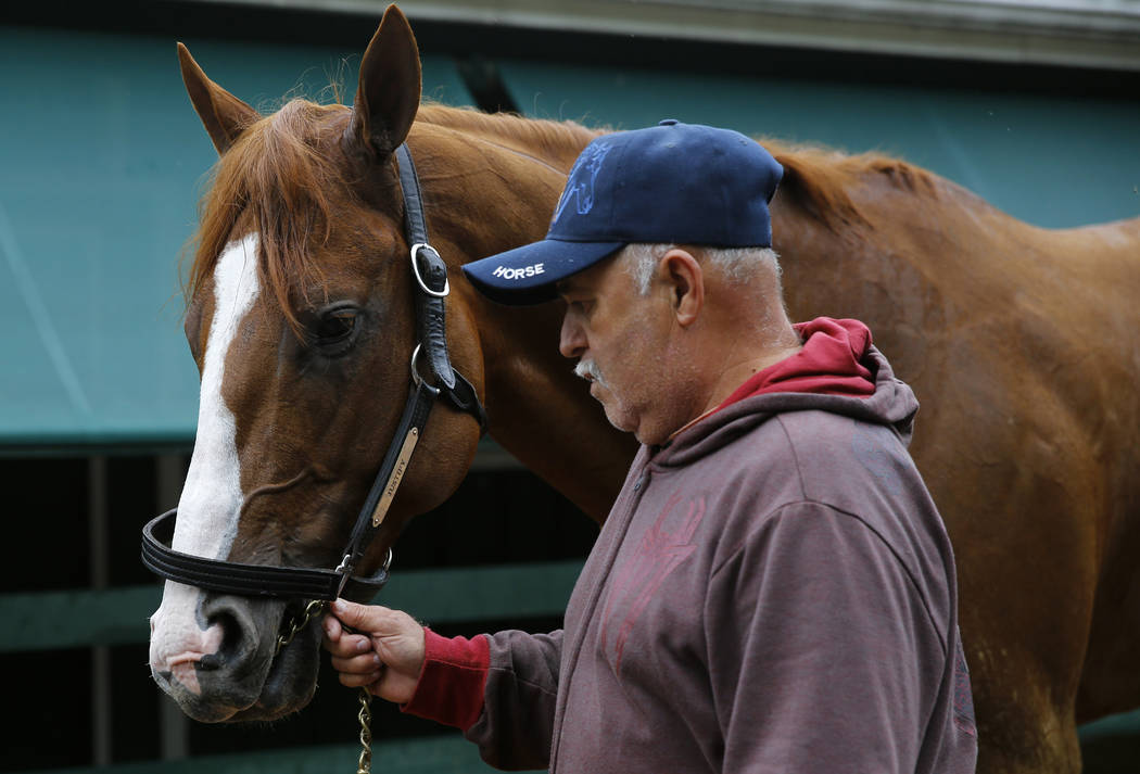 A groom walks Kentucky Derby winner Justify after a workout, Thursday, May 17, 2018, at Pimlico Race Course in Baltimore. The Preakness Stakes horse race is scheduled to take place Saturday, May 1 ...