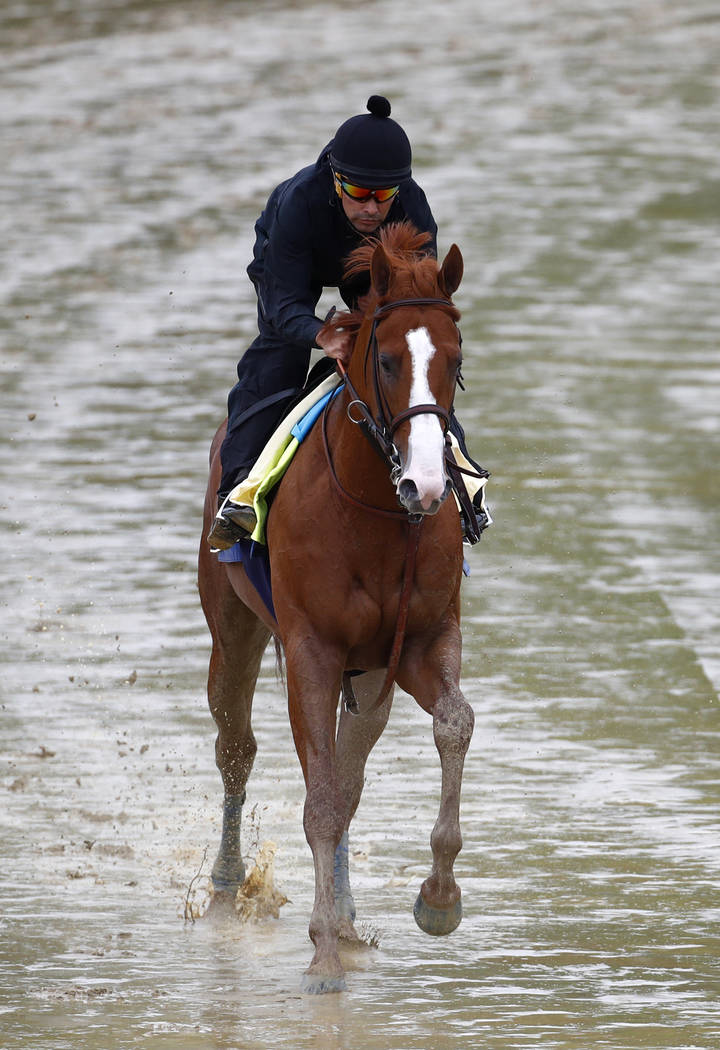 Kentucky Derby winner Justify, with exercise rider Humberto Gomez aboard, gallops around the track, Thursday, May 17, 2018, at Pimlico Race Course in Baltimore. The Preakness Stakes horse race is ...
