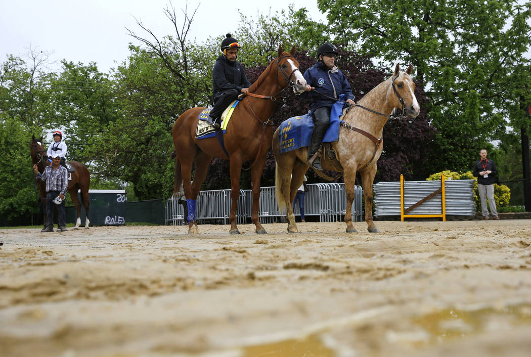 Kentucky Derby winner Justify, center, with exercise rider Humberto Gomez aboard, waits before being escorted to the track for a workout, Thursday, May 17, 2018, at Pimlico Race Course in Baltimor ...