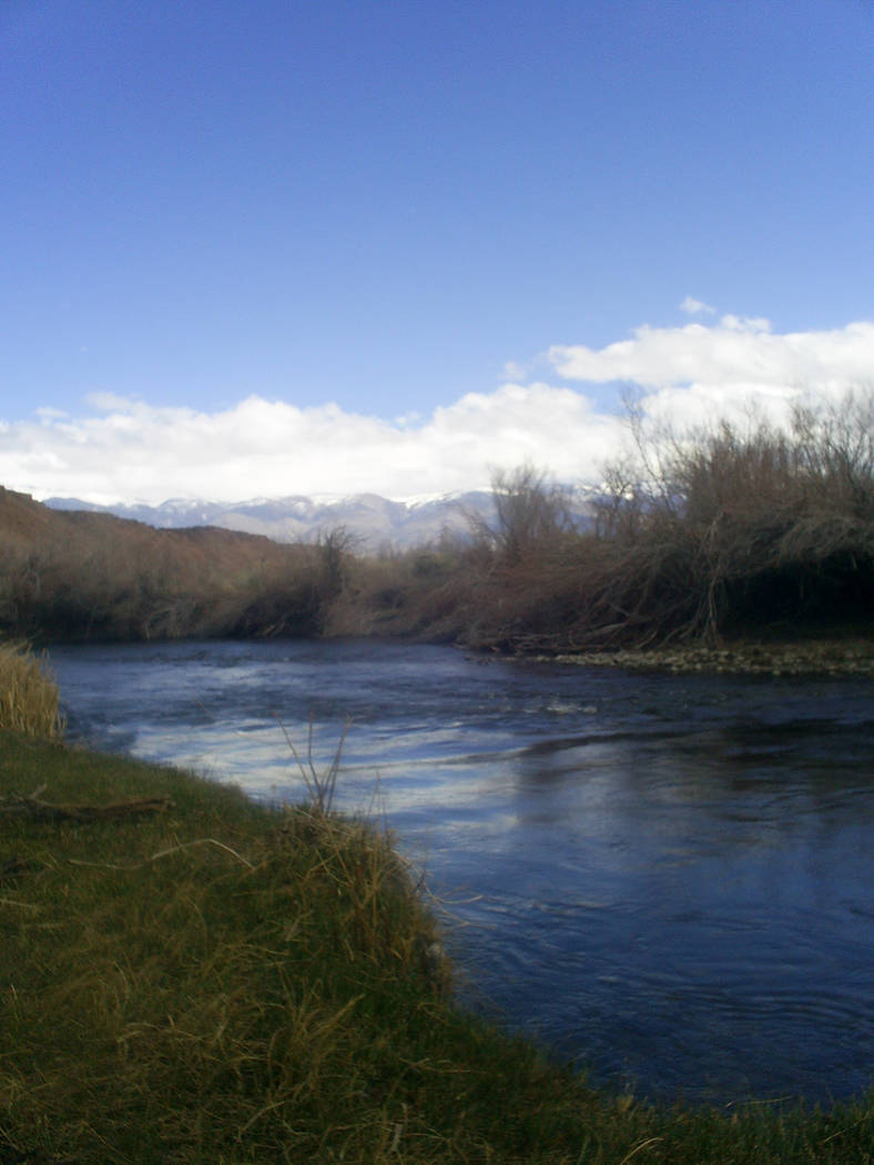 The Lower Owens River along Chalk Bluff Road is one of the more popular fishing spots in Bishop, California. (Deborah Wall/Special to View)