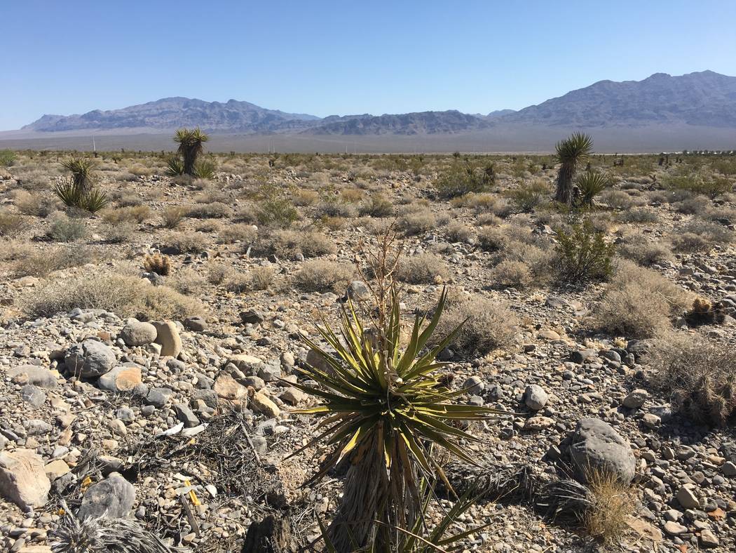 Lennar Corp., Shea Homes and Woodside Homes said they acquired 630 acres of land in the northwest Las Vegas Valley. The project site, between U.S. Highway 95 and Skye Canyon Park Drive, is seen Fr ...