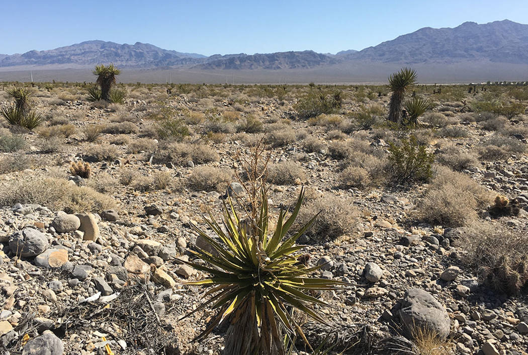 Lennar Corp., Shea Homes and Woodside Homes said they acquired 630 acres of land in the northwest Las Vegas Valley. The project site, between U.S. Highway 95 and Skye Canyon Park Drive, is seen Fr ...