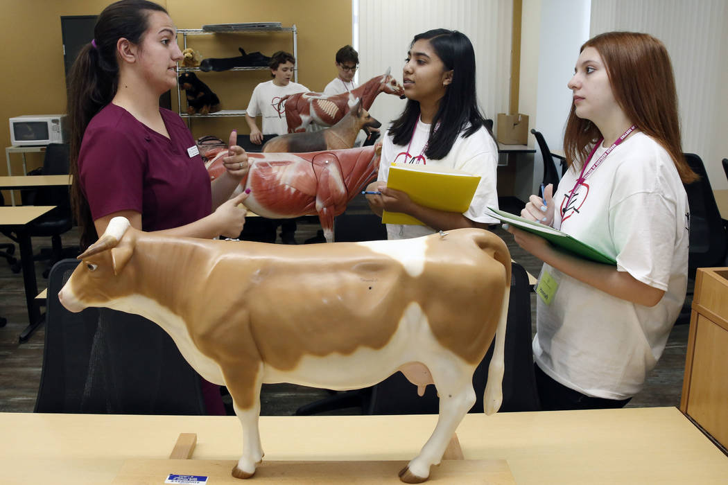 DaniElle Russo, left, veterinary technology student at College of Southern Nevada, discusses about cow organs with Clark County High School students, Eesha Nanduri, center, and Hannah Schmitt duri ...