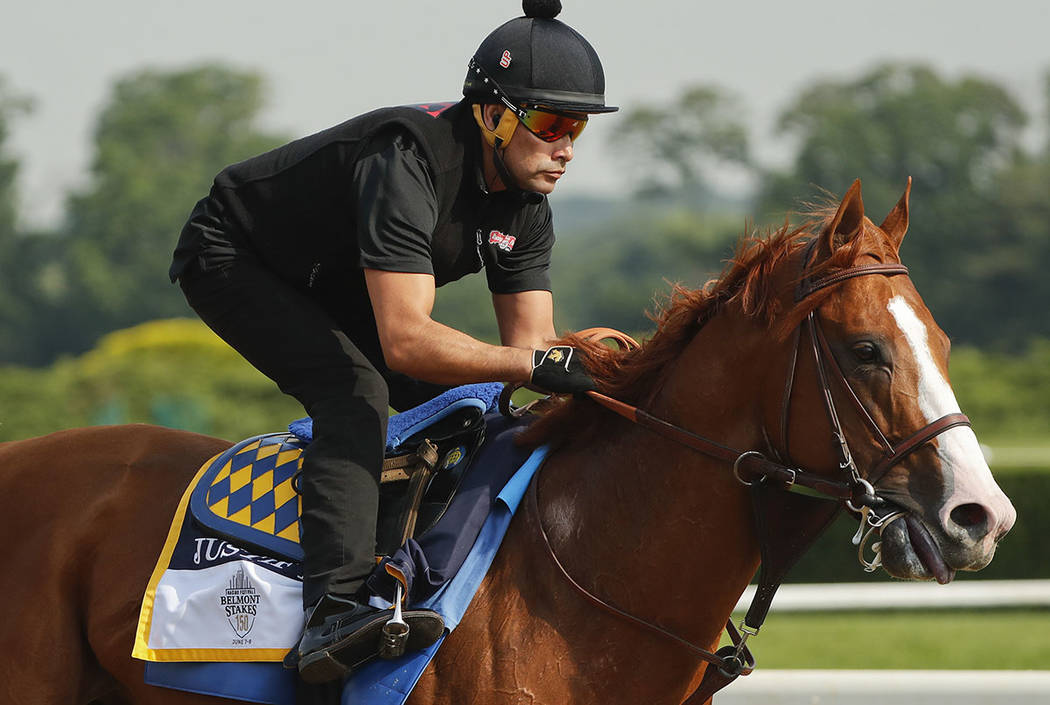 Justify gallops around the main track during a workout at Belmont Park, Friday, June 8, 2018, in Elmont, N.Y. (AP Photo/Julie Jacobson)