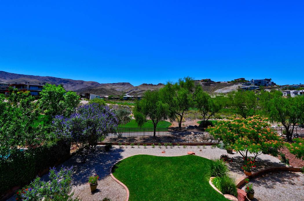 The backyard. (Ron Magee)
