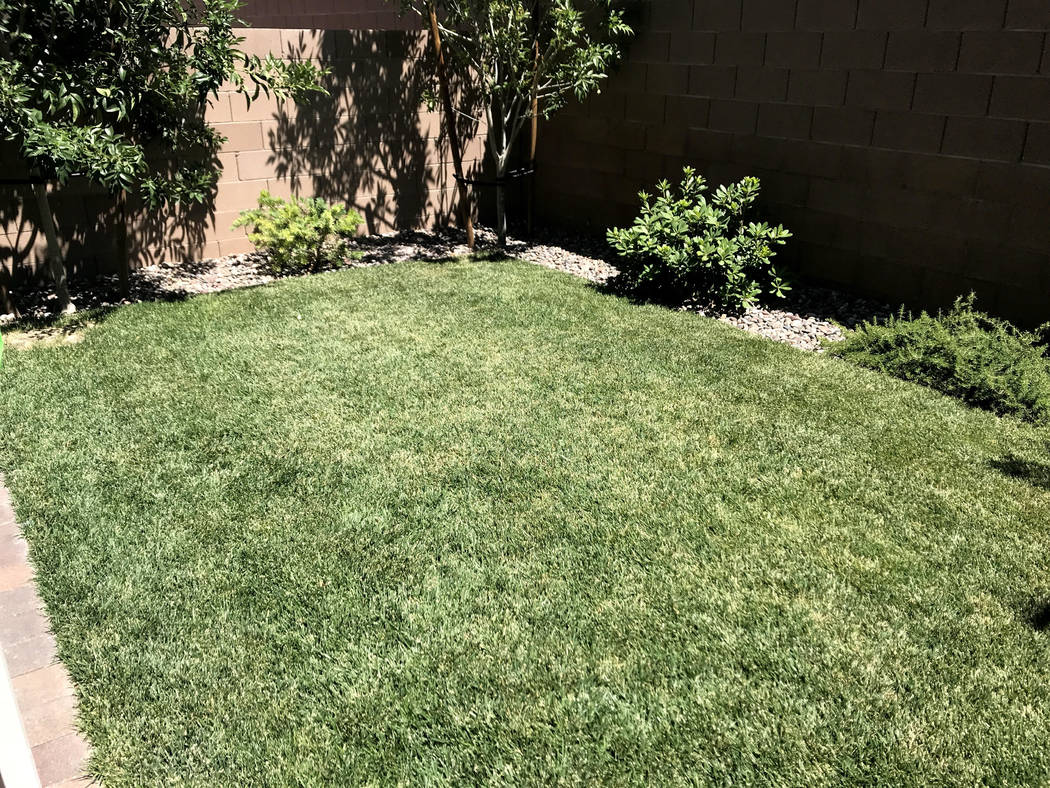 Faulty Irrigation System Can Produce Brown Spots In Lawn Las Vegas