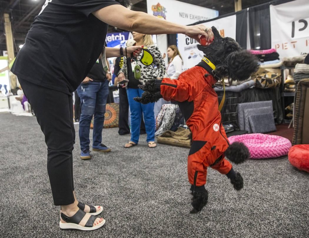 SuperZoo in Las Vegas debuts new trends, merchandise for pets Las