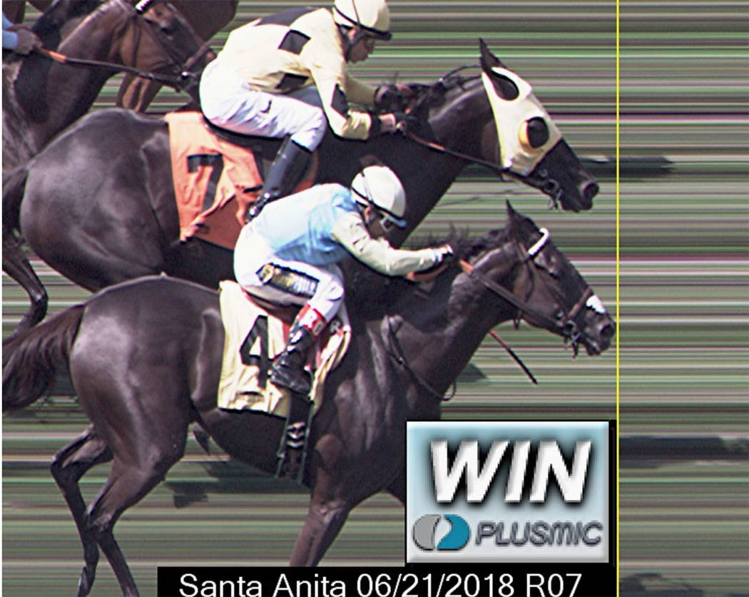 Moonless Sky, a filly partly owned by MyRacehorse investors, finishes second by a nose in an allowance optional claiming race at Santa Anita on June 21. (Santa Anita Park)